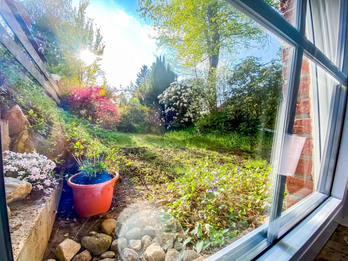 Ferienwohnung Im Sachsenwald Dassendorf Eksteriør bilde